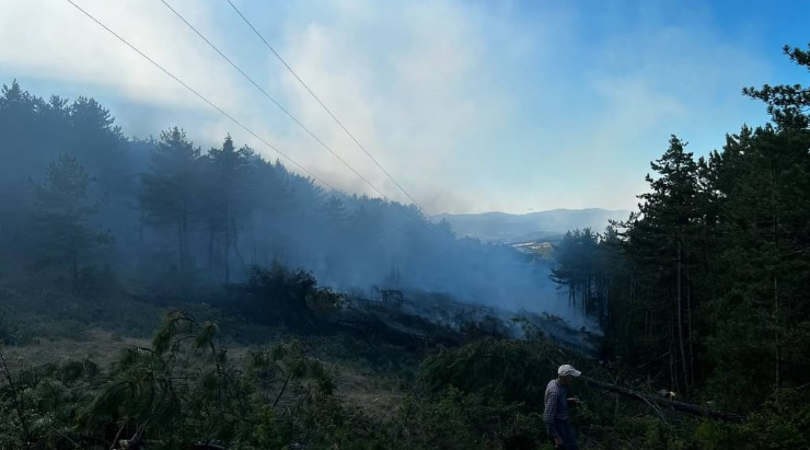 Taşköprü Kırkçam mevkiinde çıkan yangını ekipler kontol altına aldı