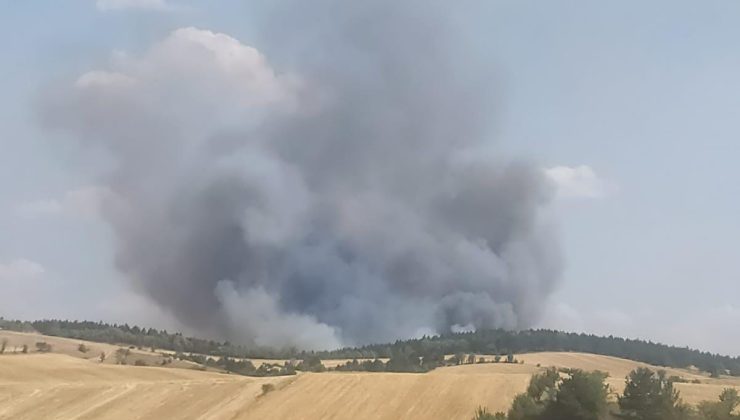 Alpağut köyündeki yangın kontrol altına alındı