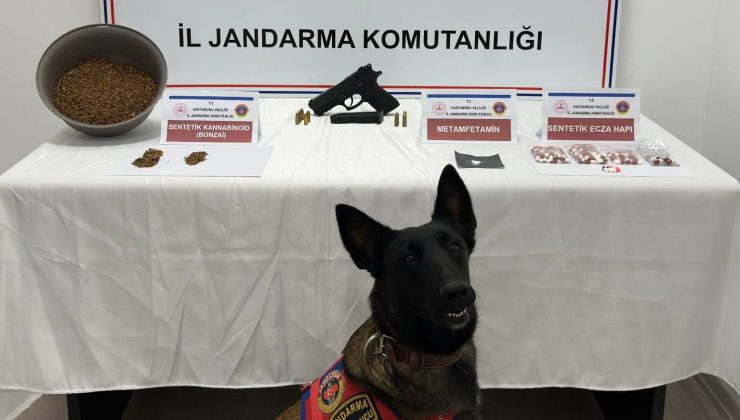 Kastamonu’da Jandarmadan Uyuşturucu ve Silah Operasyonu