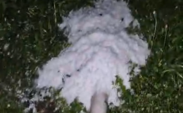 Kastamonu’da Dolu yağışı etkili oldu