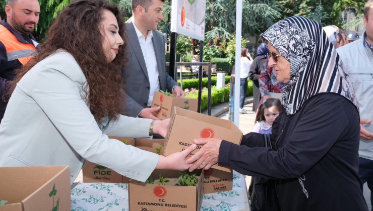 Kastamonu Belediyesi 50 bin adet fide dağıttı