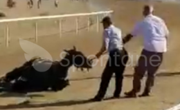 (Video haber)Taşköprü’de Atlar Birbiri İle Çarpıştı