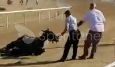 (Video haber)Taşköprü’de Atlar Birbiri İle Çarpıştı